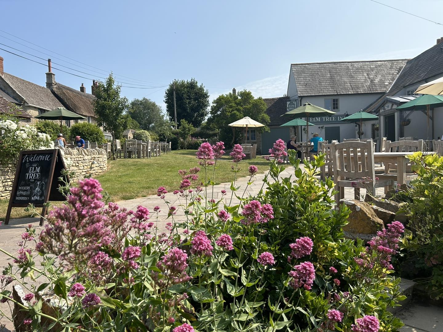 Best Pub Gardens for Alfresco Dining in Dorset