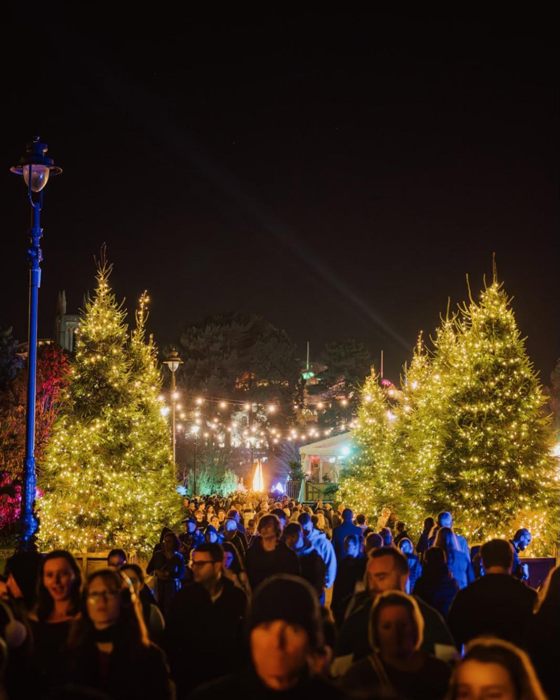Christmas Tree Wonderland Bournemouth 2026 | 13 November–4 January