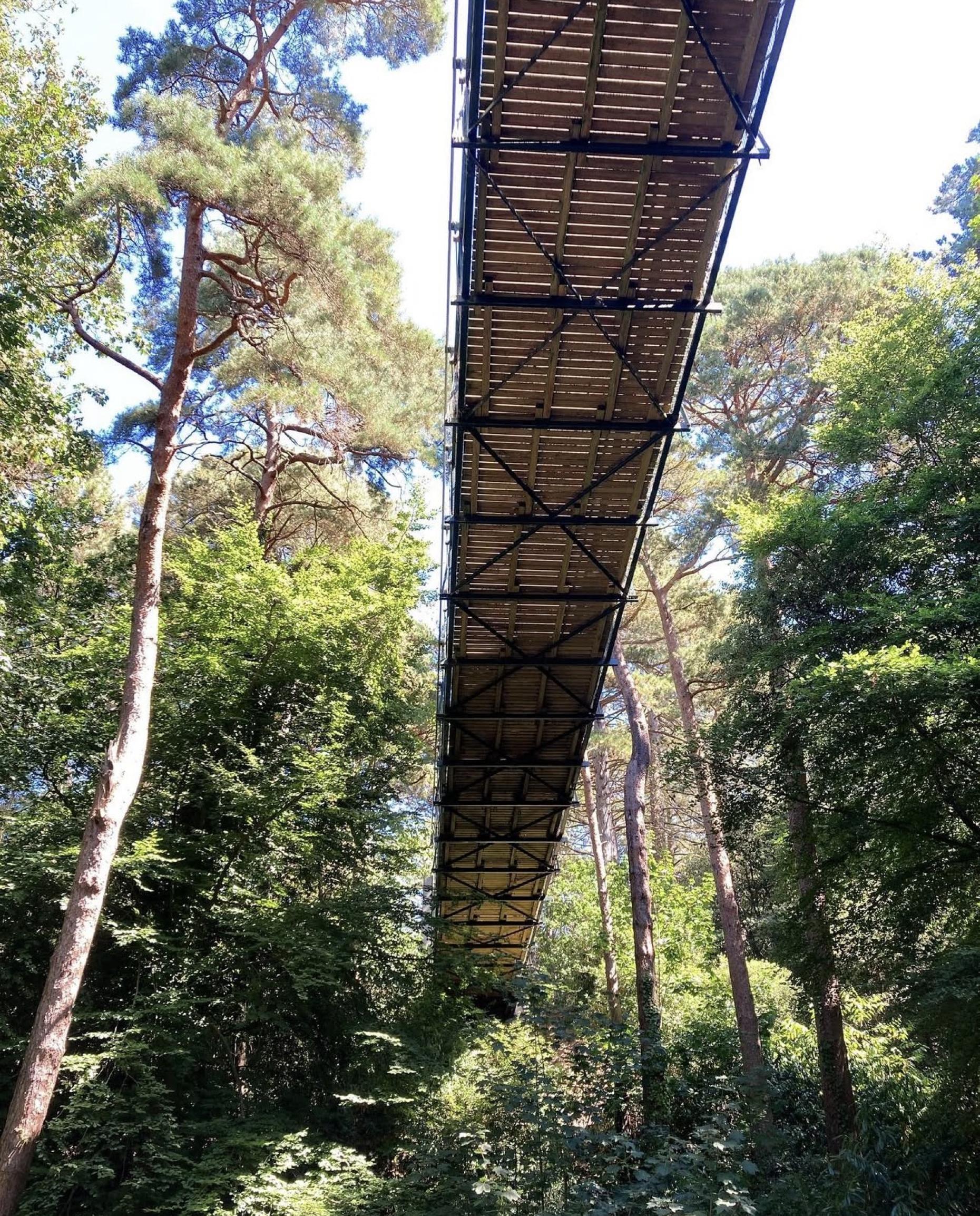 Top 5 Hidden Gems in Bournemouth