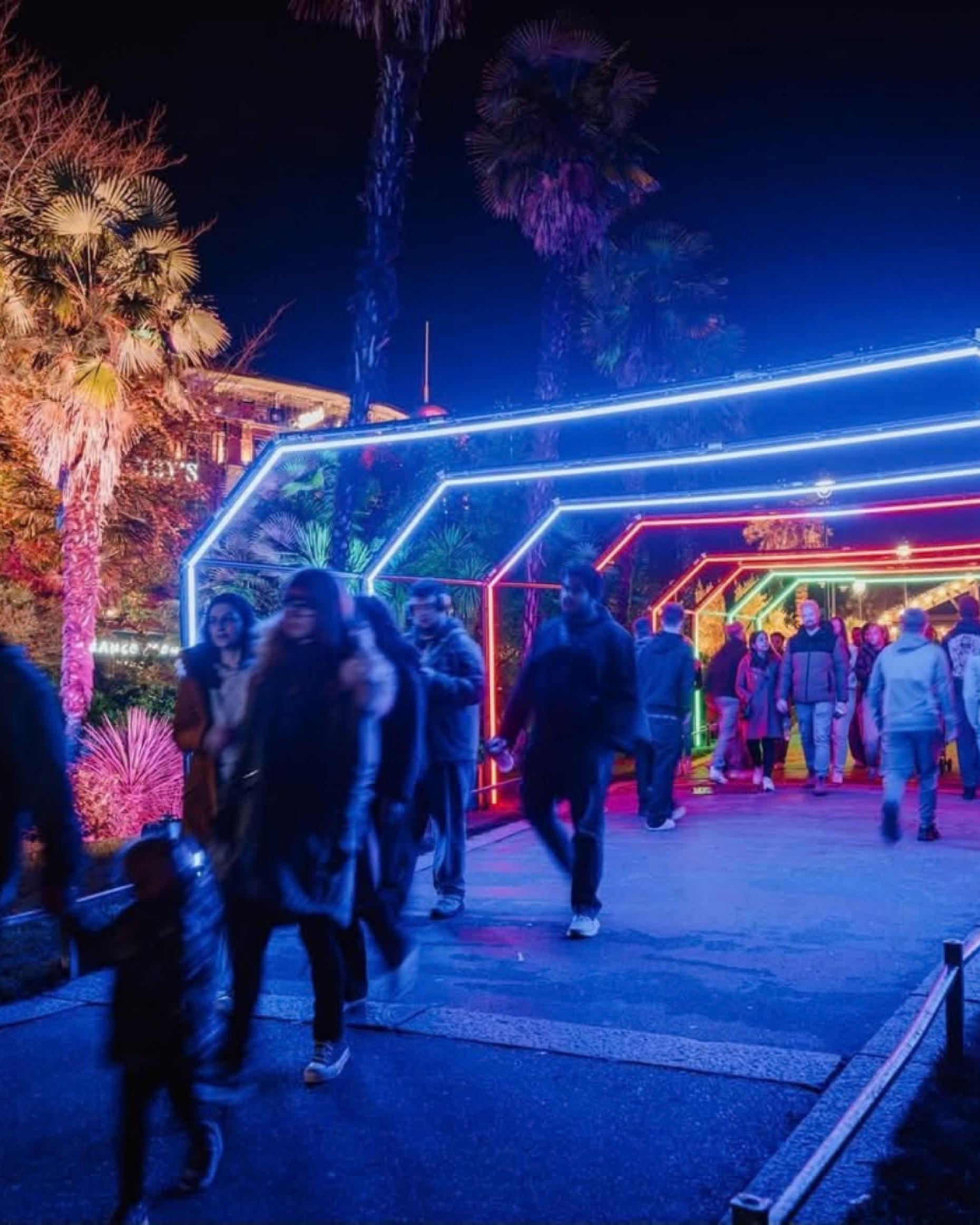 Christmas Tree Wonderland Bournemouth 2026 | 13 November–4 January