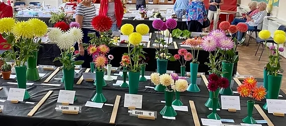 Highcliffe Horticultural Society