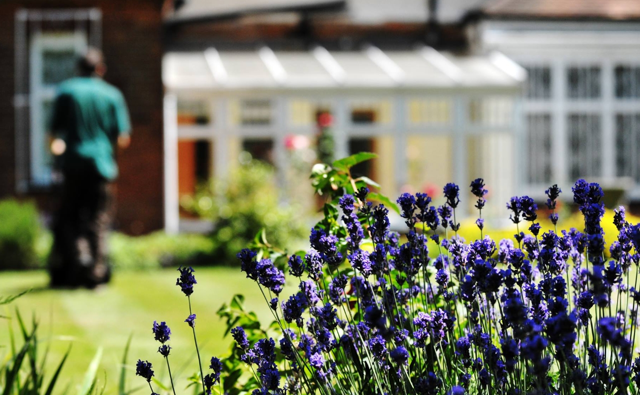 Find Local: Gardeners and Garden Maintenance in Southbourne