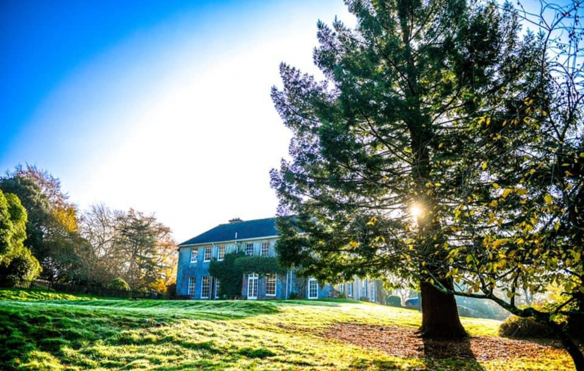 Castle Court School