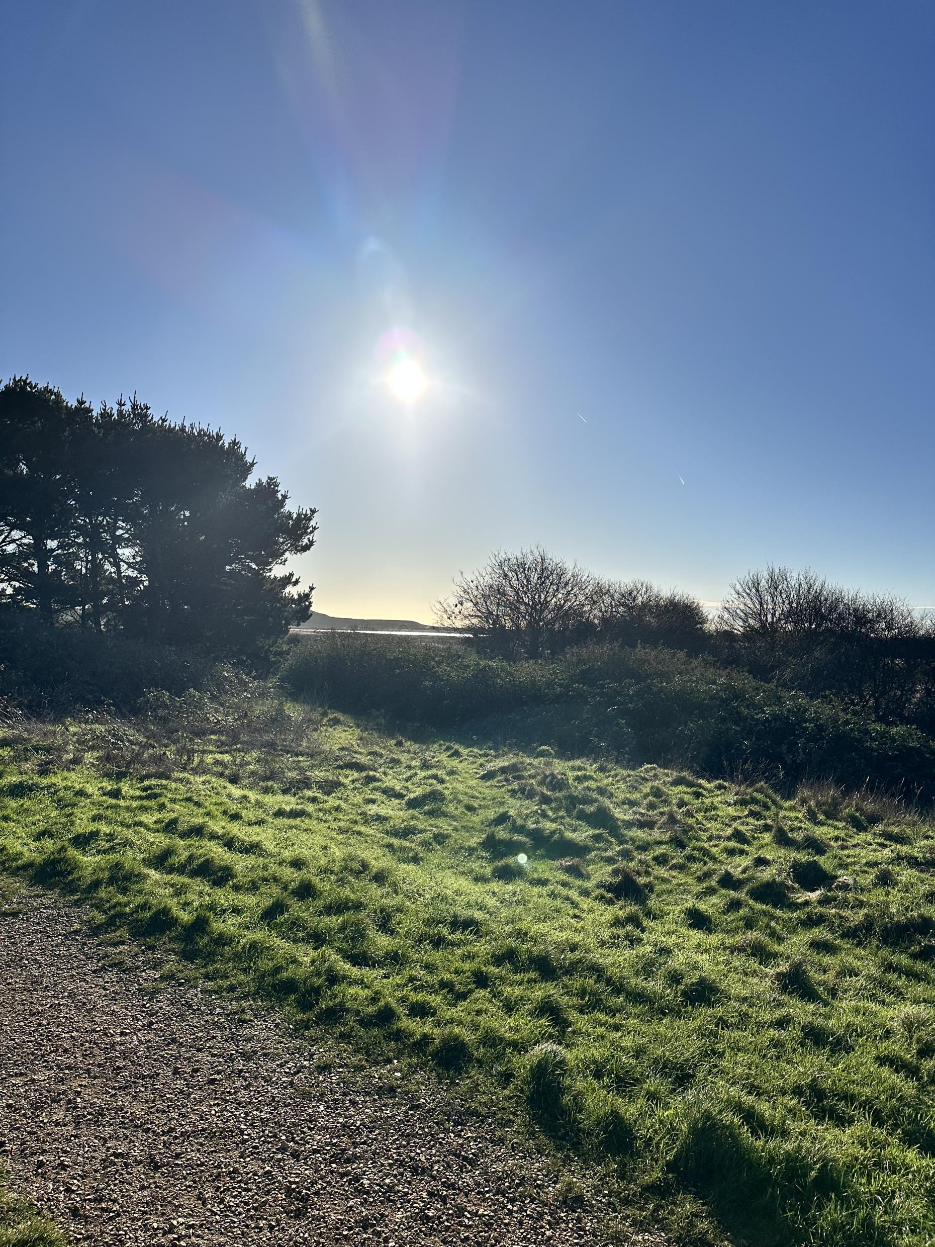 Beautiful Winter Walks in Bournemouth, Christchurch & Poole