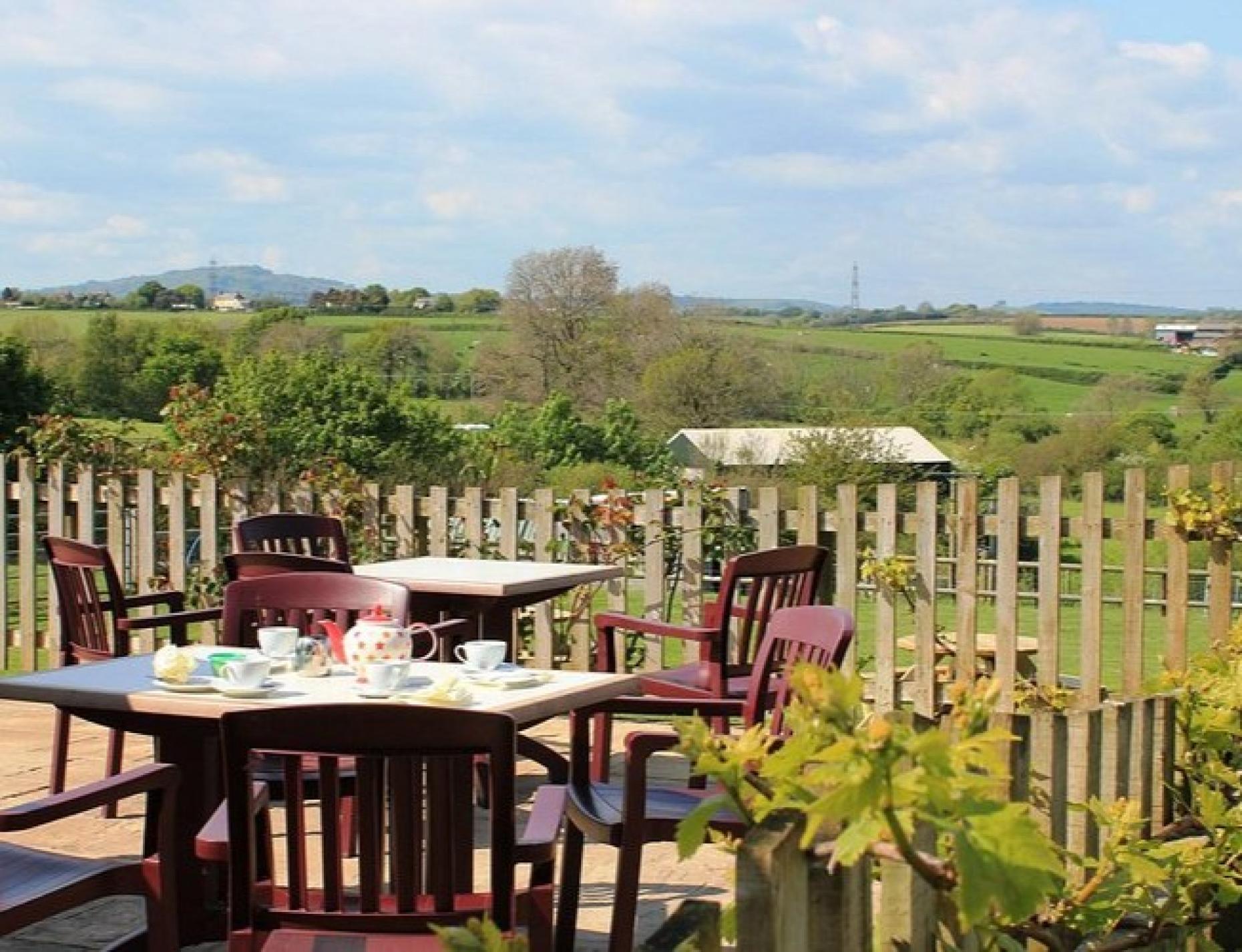 5 Best Farm Shop Cafes to Visit in Dorset
