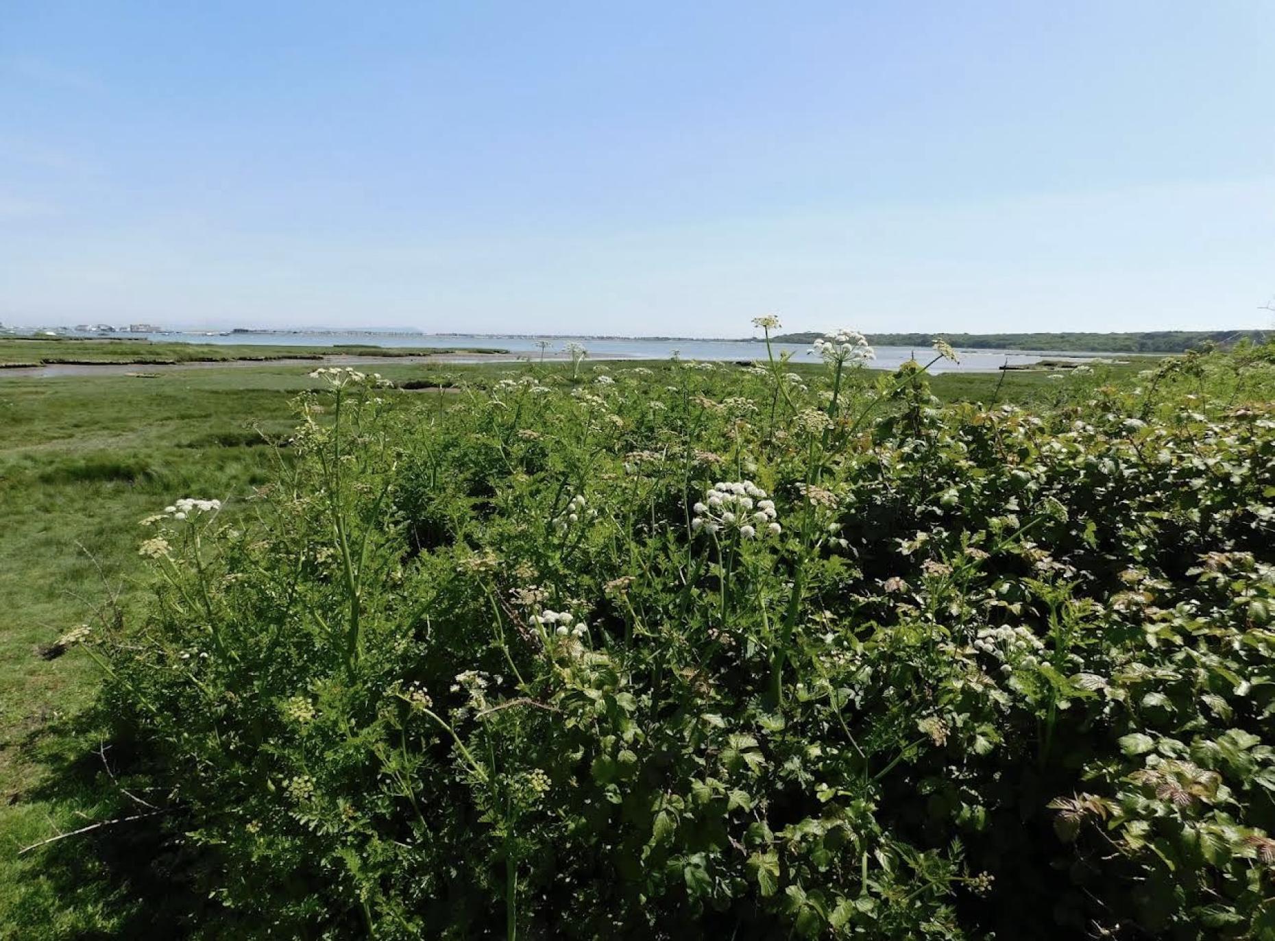 Top 5 Hidden Gems in Christchurch, Dorset