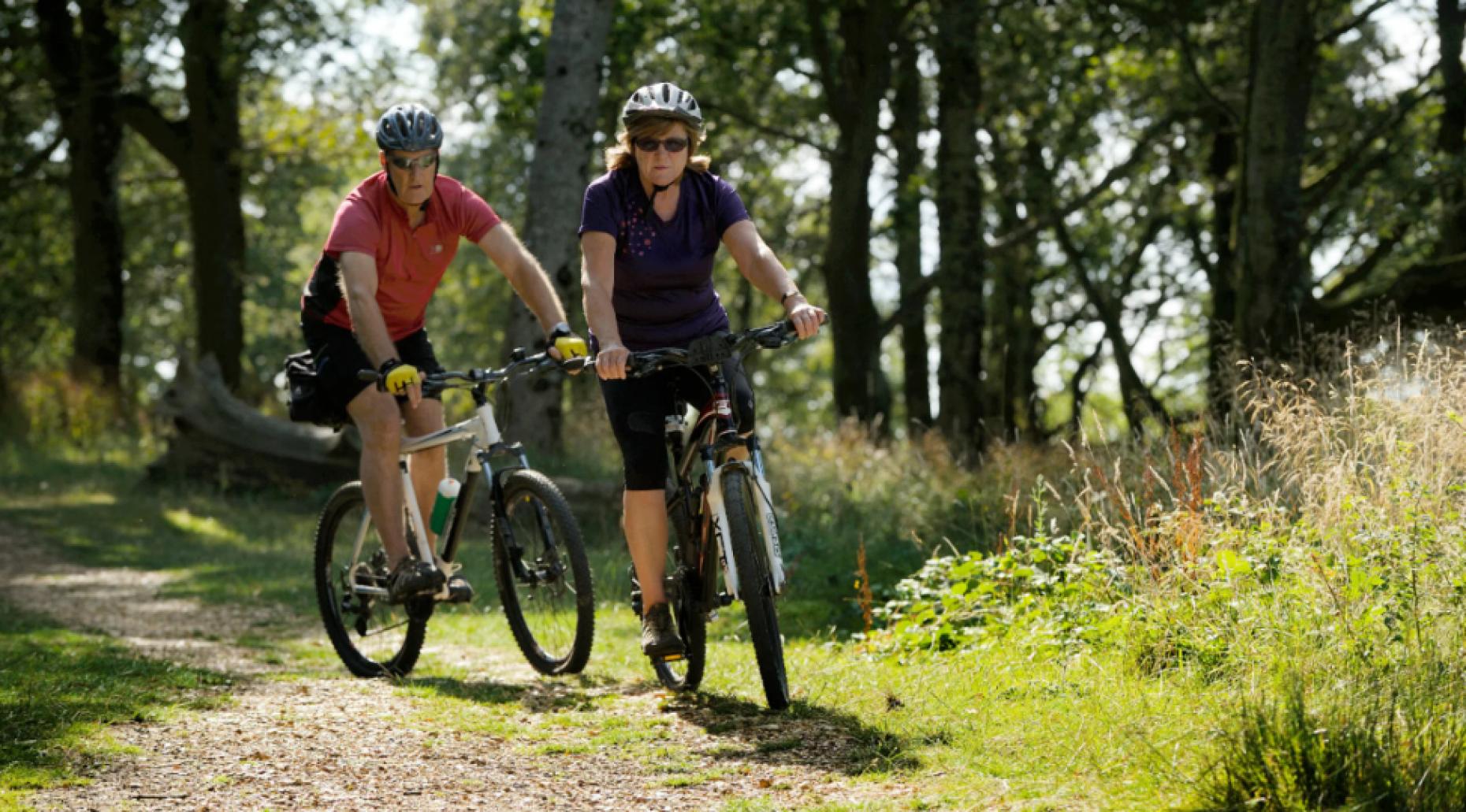 Kingston Lacy Dorset: National Trust House, Gardens, History & Visitor Guide