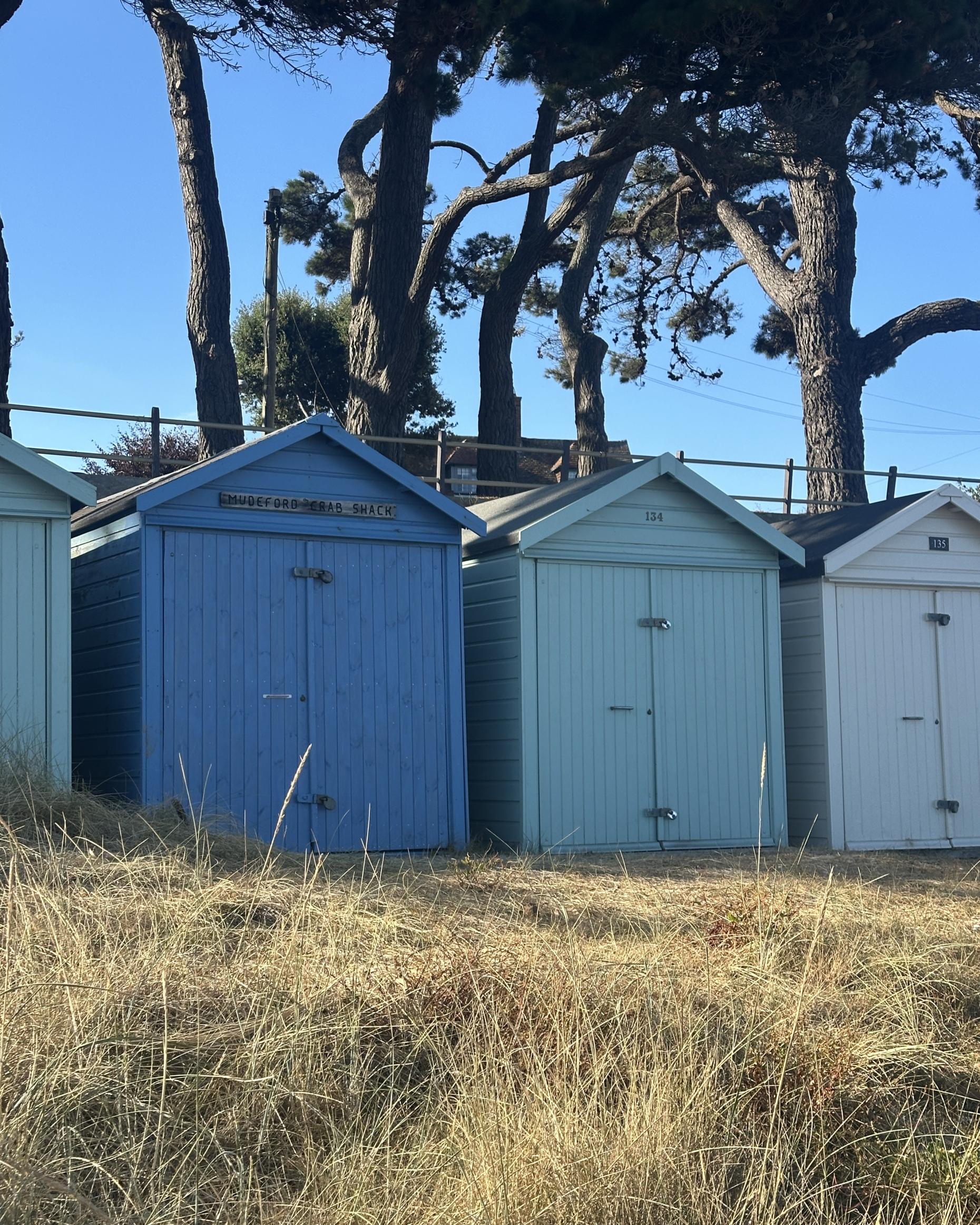 What’s Changing in Christchurch? The Projects Shaping the Town’s Future