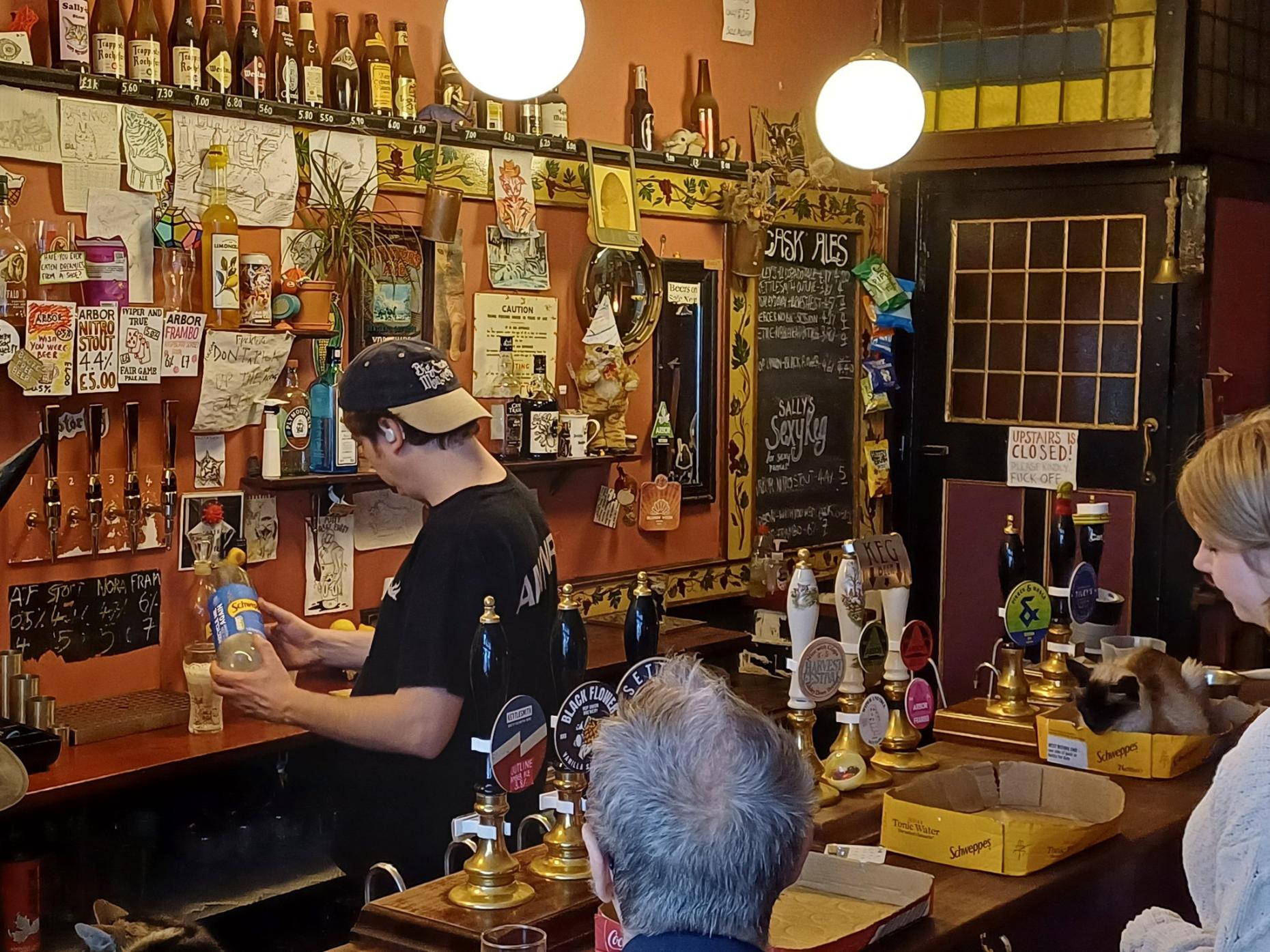 Poole Beer Festival