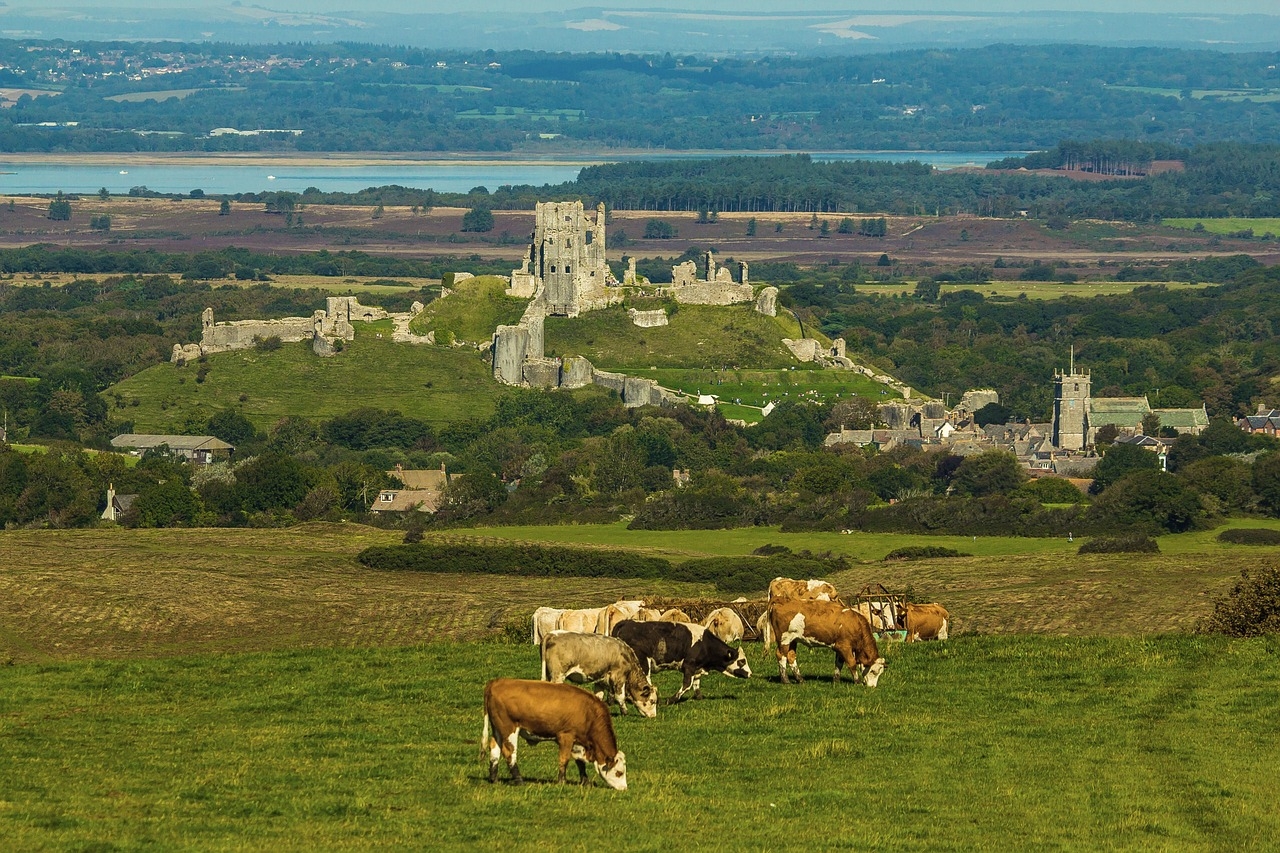 Unmissable Days Out in Dorset