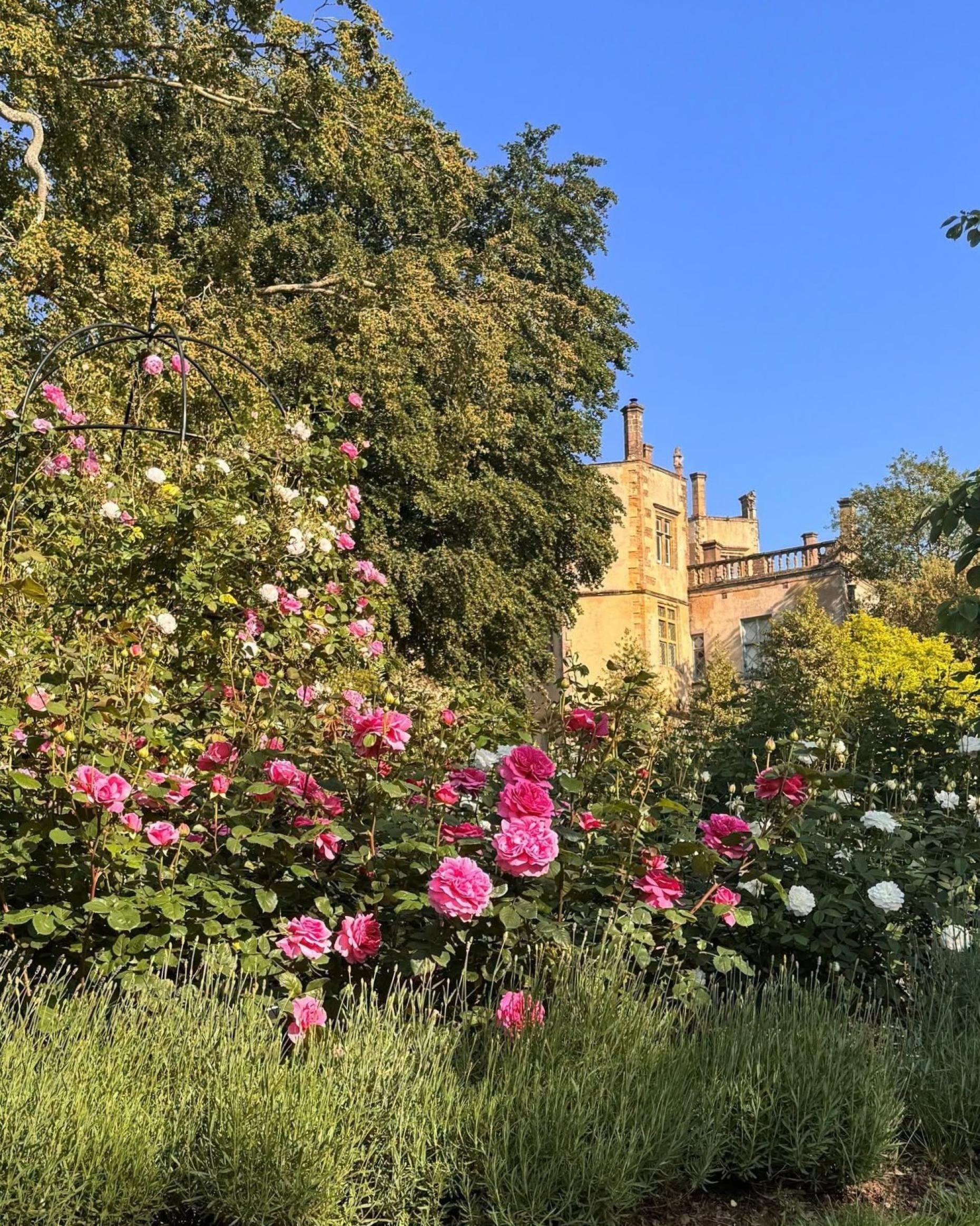 Cottage Gardens Are Back... And They’re Perfect for Dorset Homes