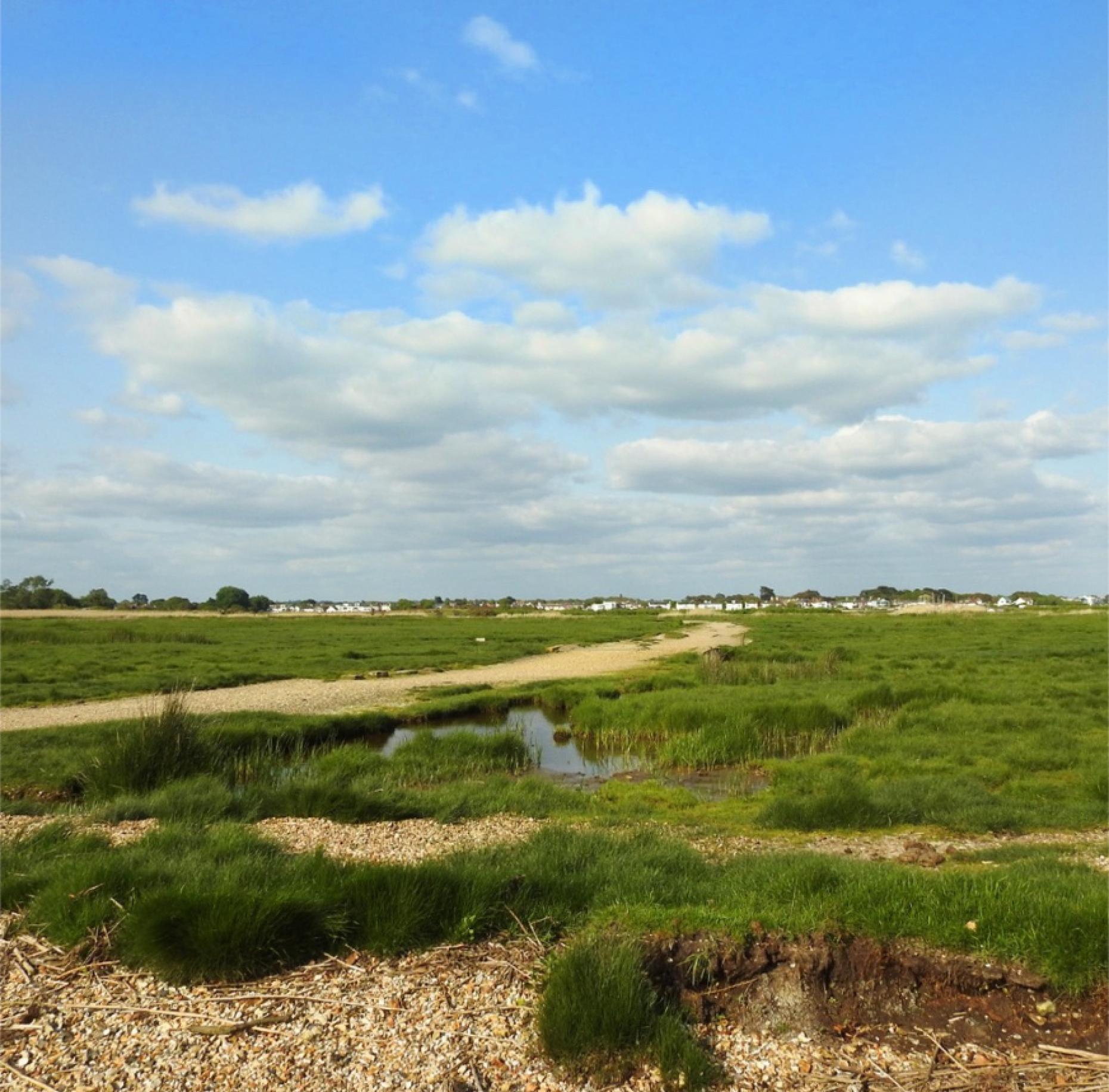 Beautiful Winter Walks in Bournemouth, Christchurch & Poole