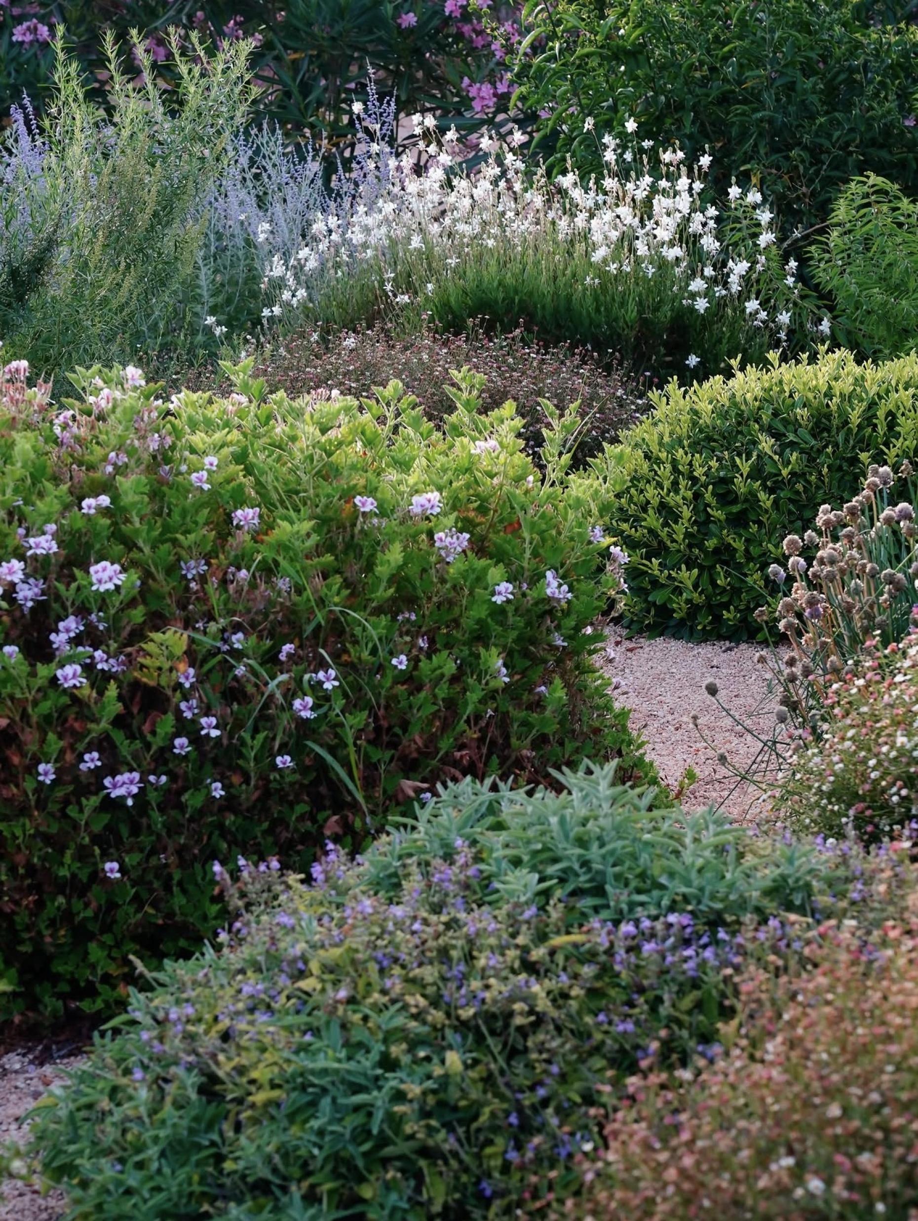Mediterranean Style: The Latest Garden Trend We Love in Bournemouth