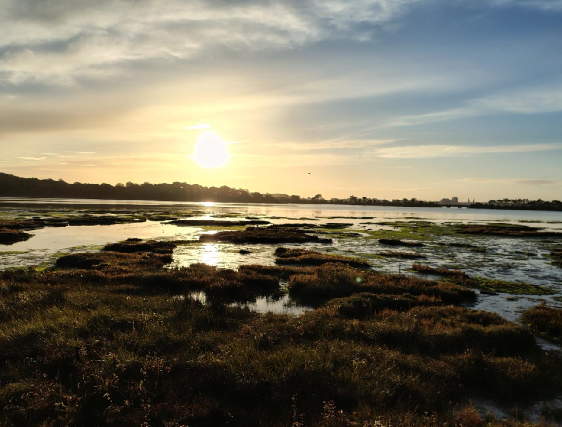 Upton Country Park Poole | Visitor Guide