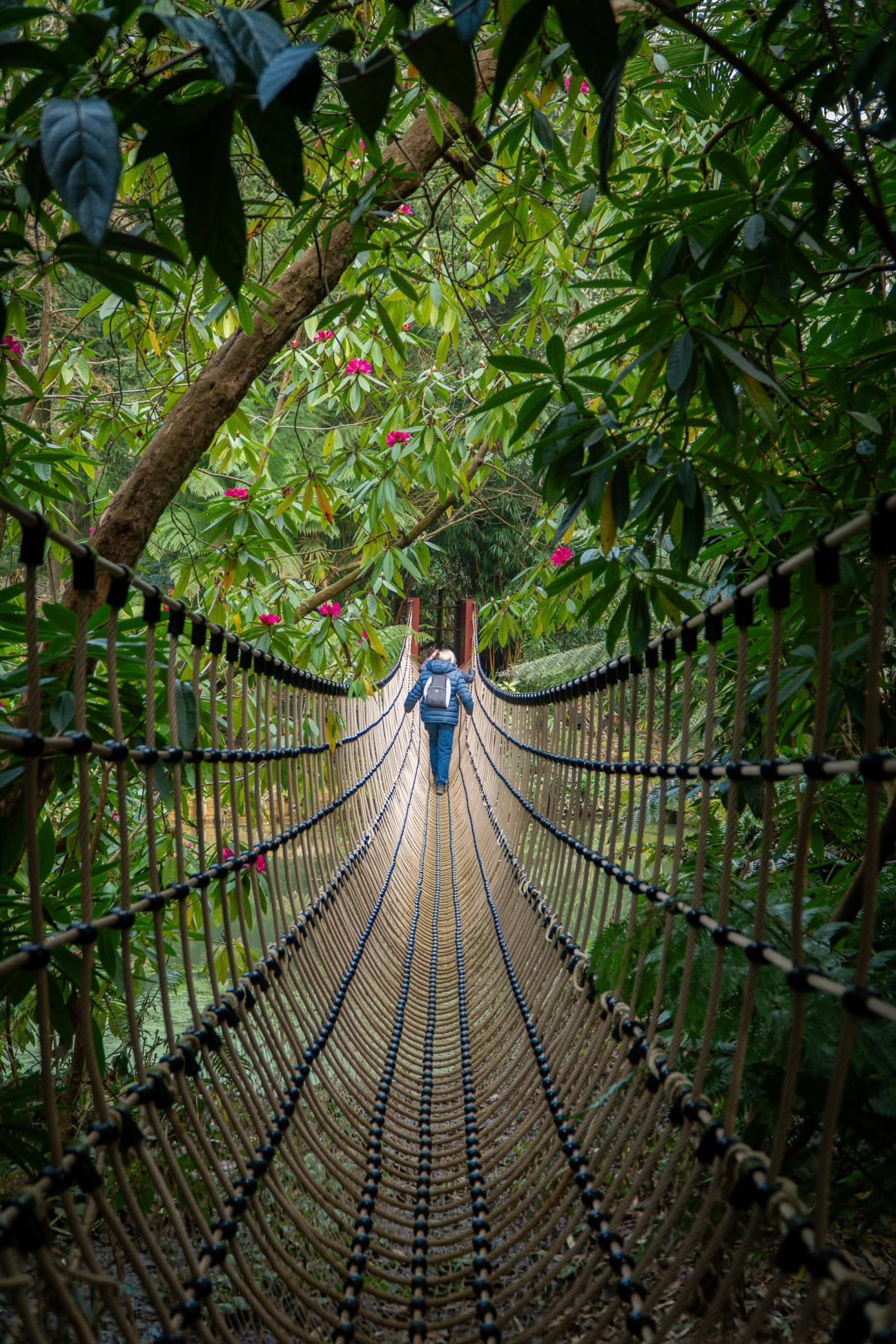 Abbotsbury Subtropical Gardens - Botanical Gardens in Dorset