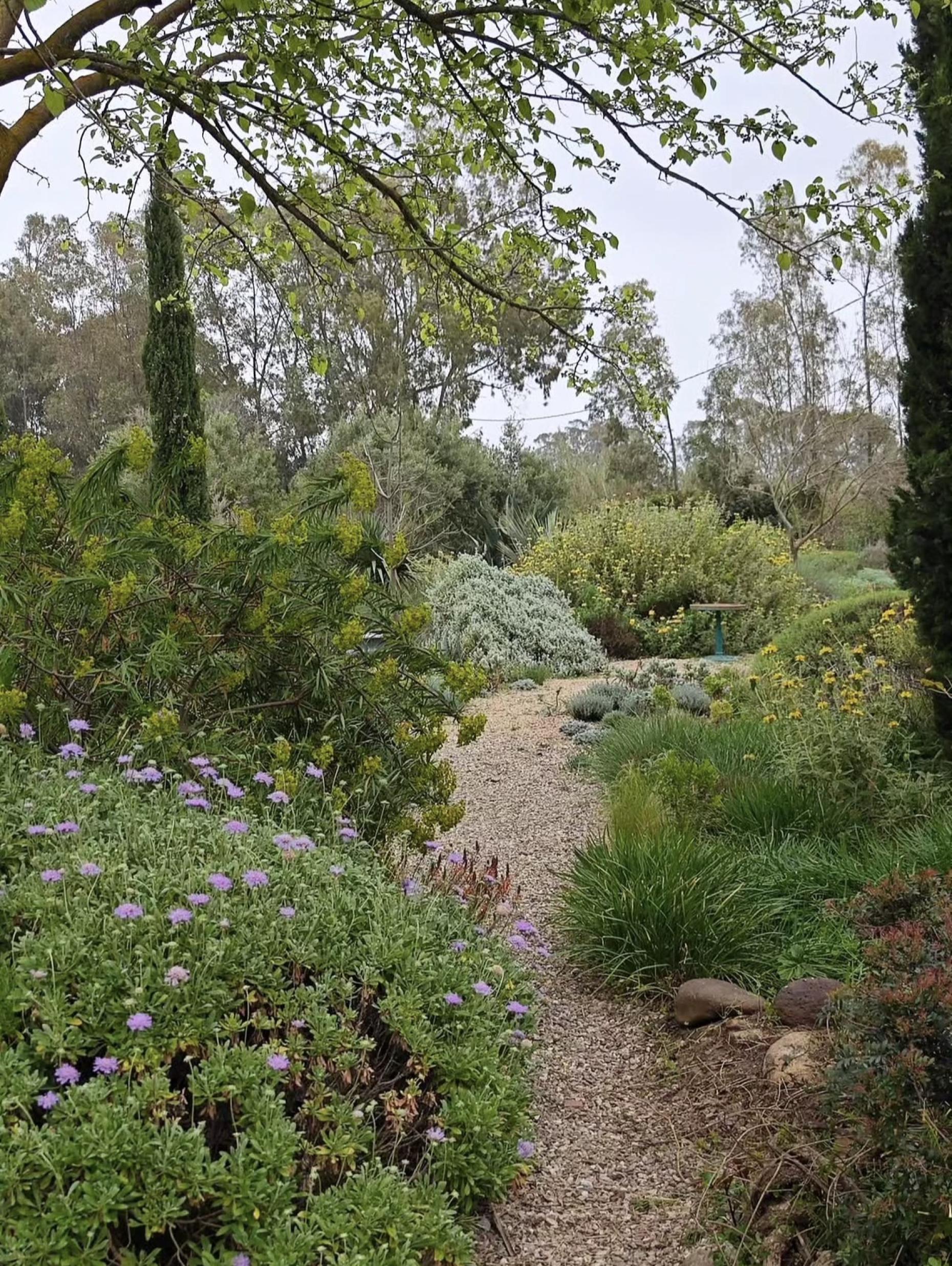 Mediterranean Style: The Latest Garden Trend We Love in Bournemouth