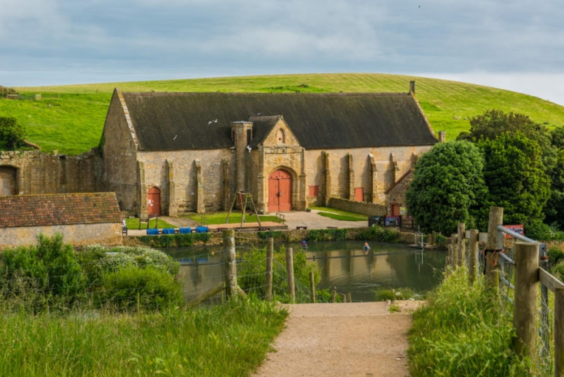 Tree of Strings Festival: A New Music Celebration in Abbotsbury
