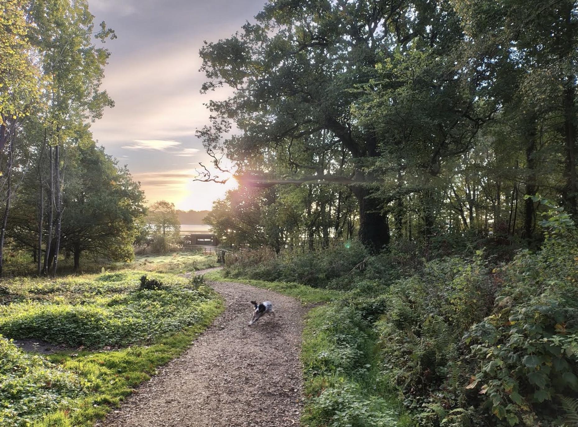 Beautiful Winter Walks in Bournemouth, Christchurch & Poole