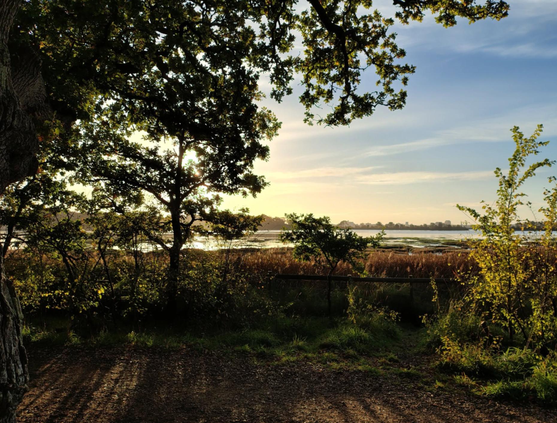 Why Upton Country Park Should Be on Your Dorset Bucket List
