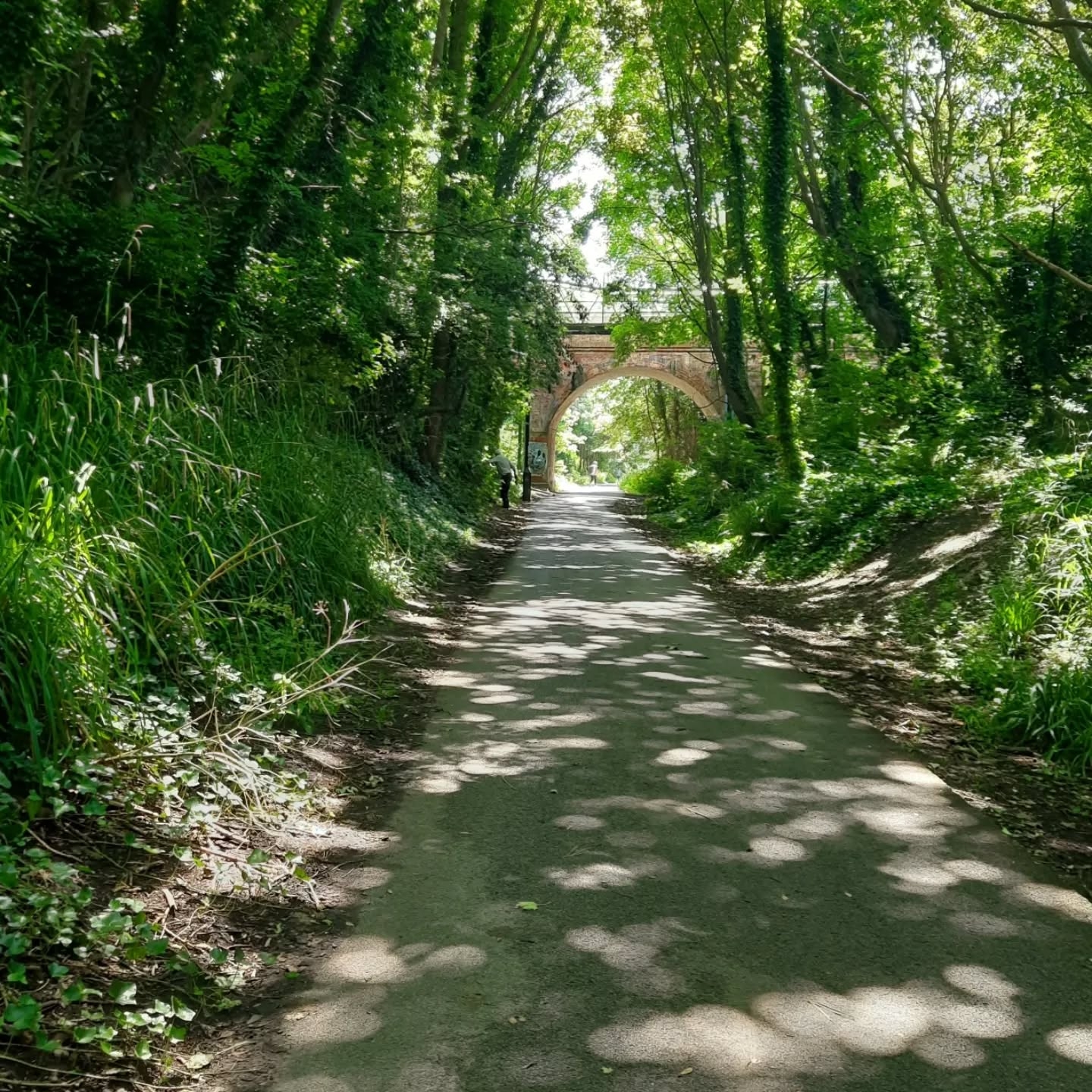 Picture Perfect Bike Rides in Dorset