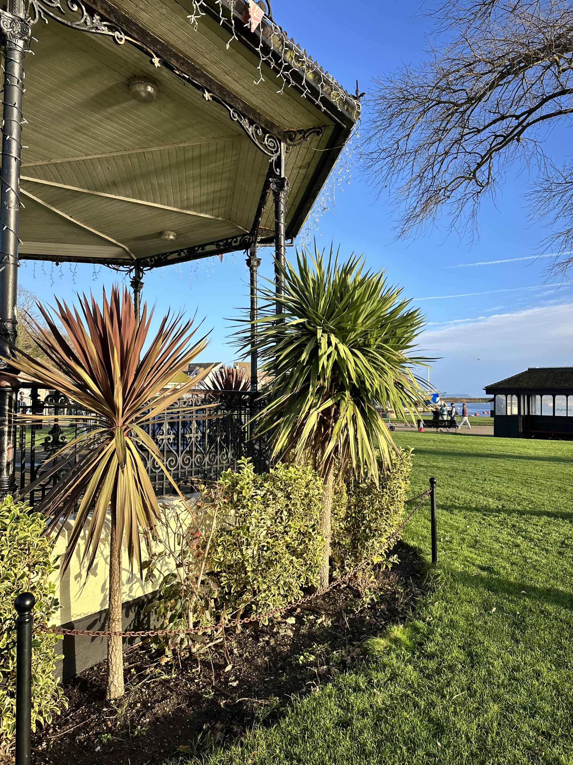 Beautiful Winter Walks in Bournemouth, Christchurch & Poole