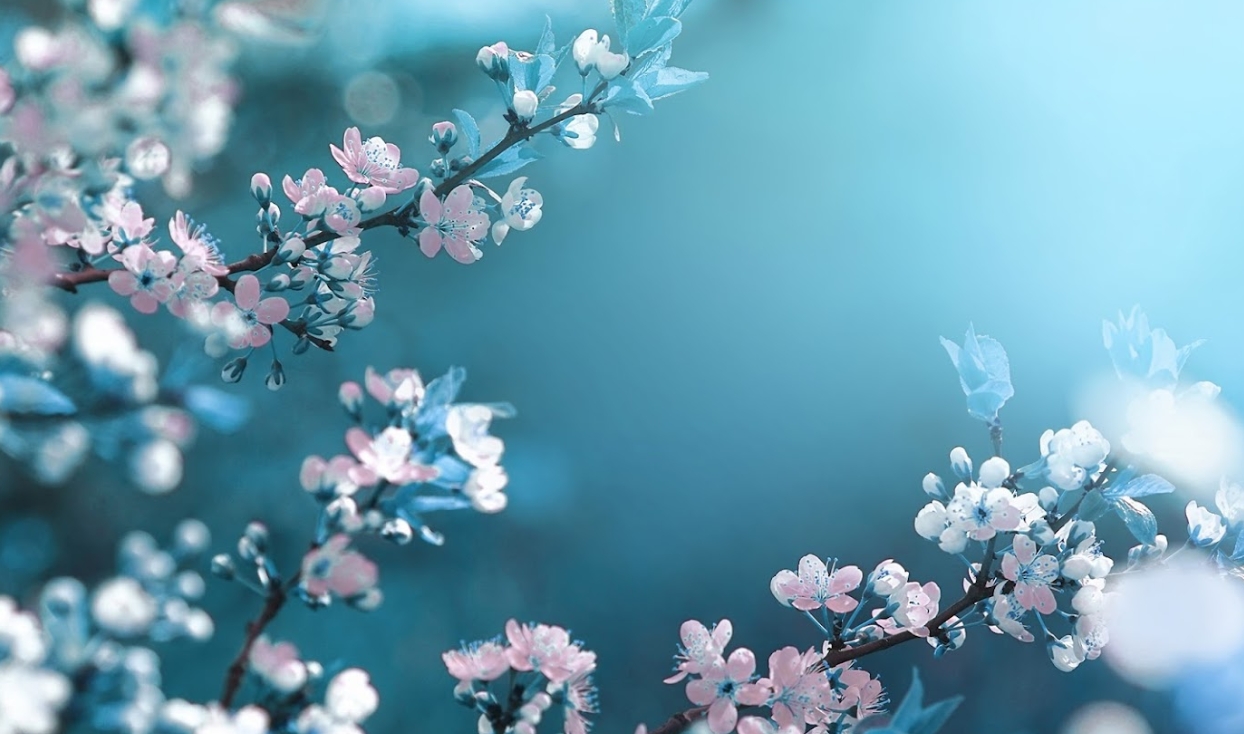 Compare Counselling, Personal and Life Coaching Services in Dorset