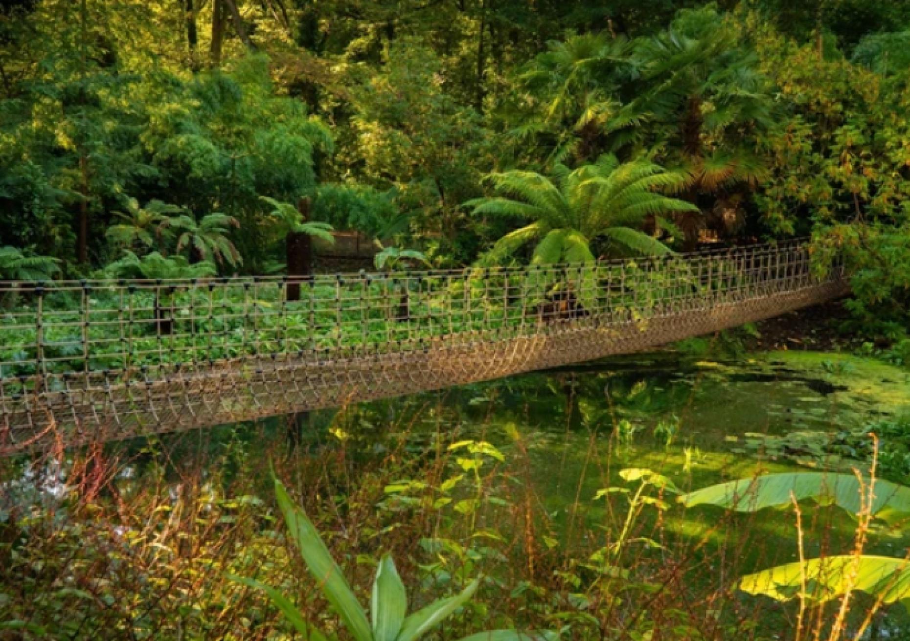 Abbotsbury Subtropical Gardens - Botanical Gardens in Dorset