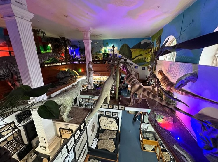 Guide to Museums in Dorset