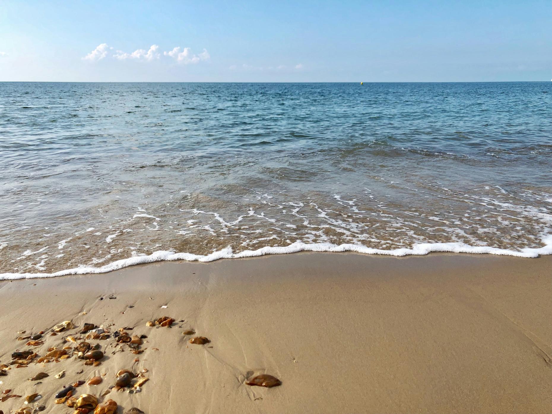 Discovering Highcliffe