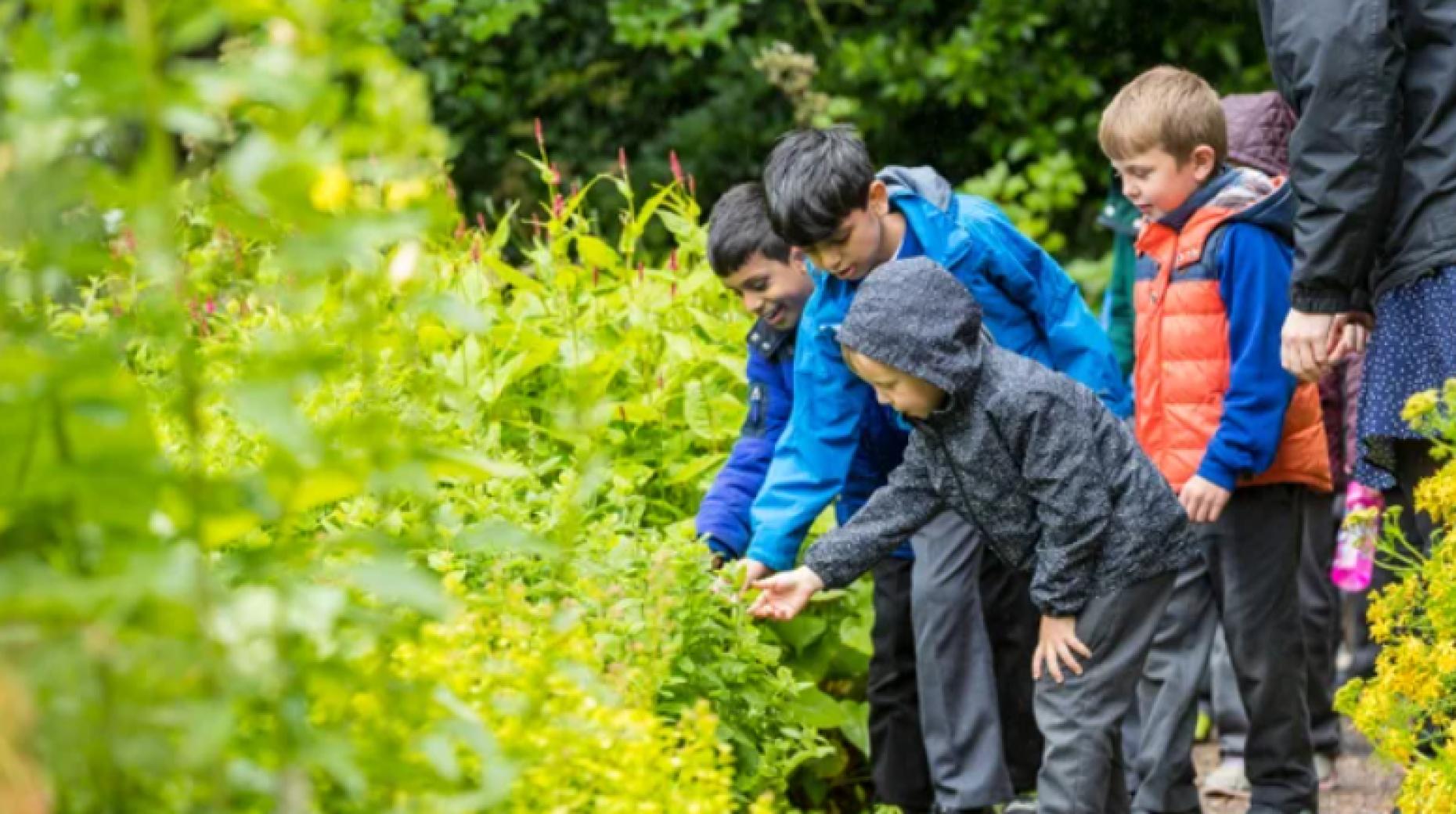 Exploring Brownsea Island: A National Trust Adventure