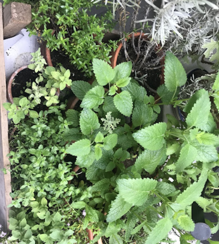 Find Local: Garden Design and Landscaping in Southbourne