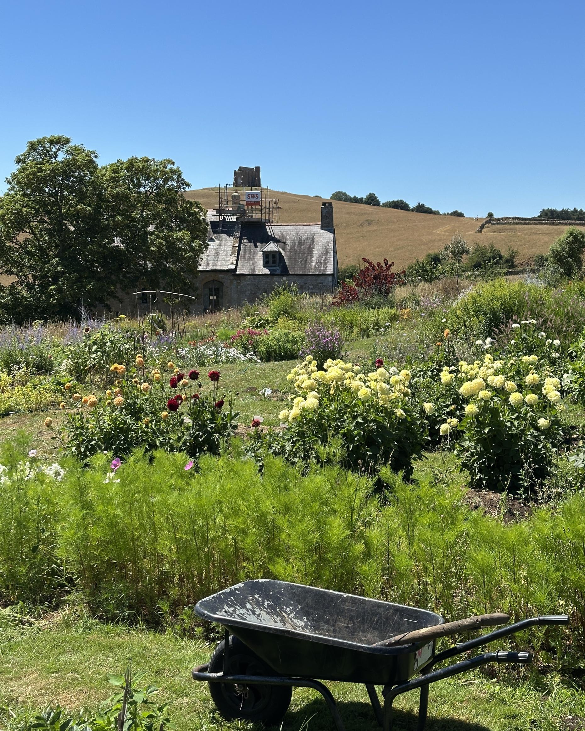 Cottage Gardens Are Back... And They’re Perfect for Dorset Homes
