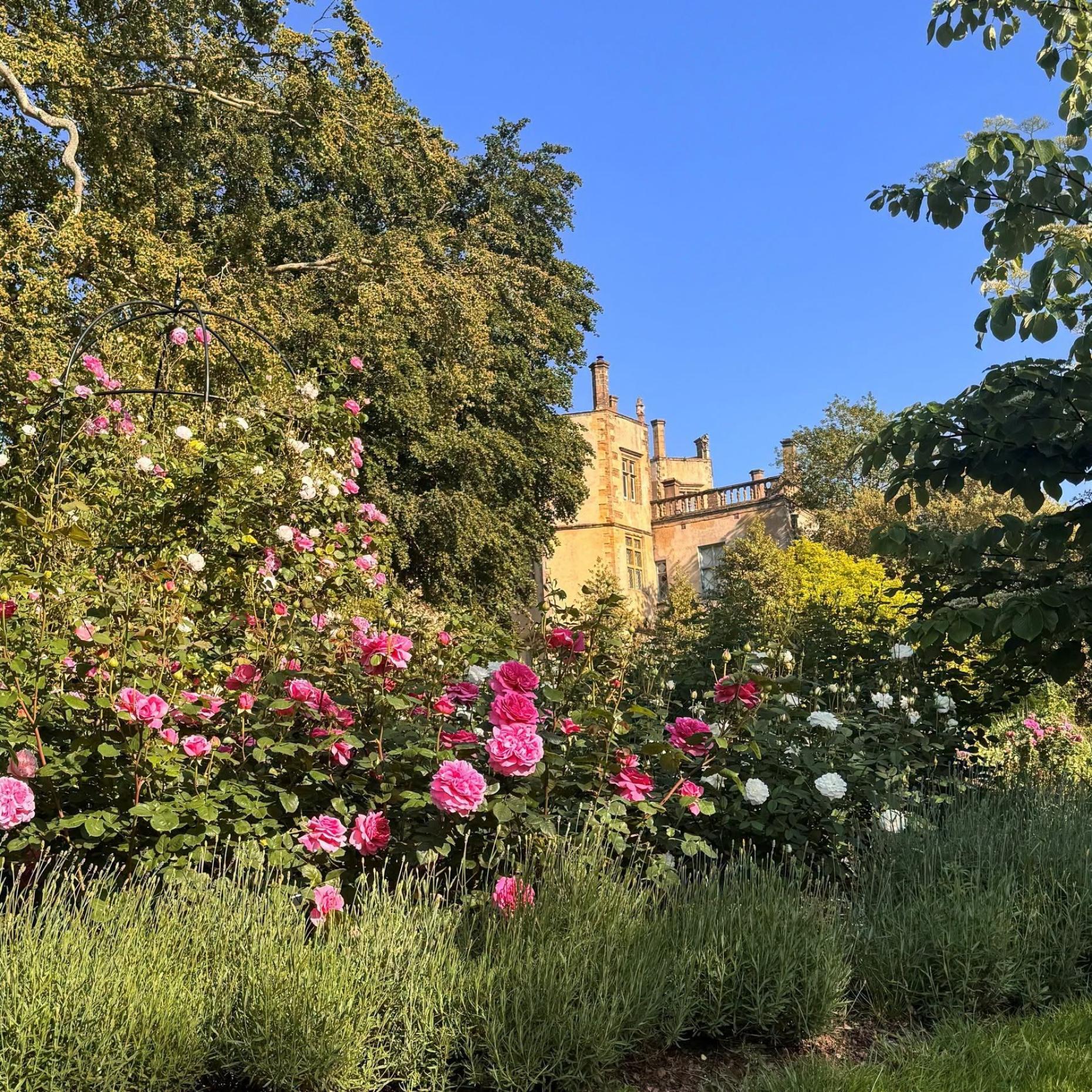 Abbotsbury Subtropical Gardens - Botanical Gardens in Dorset