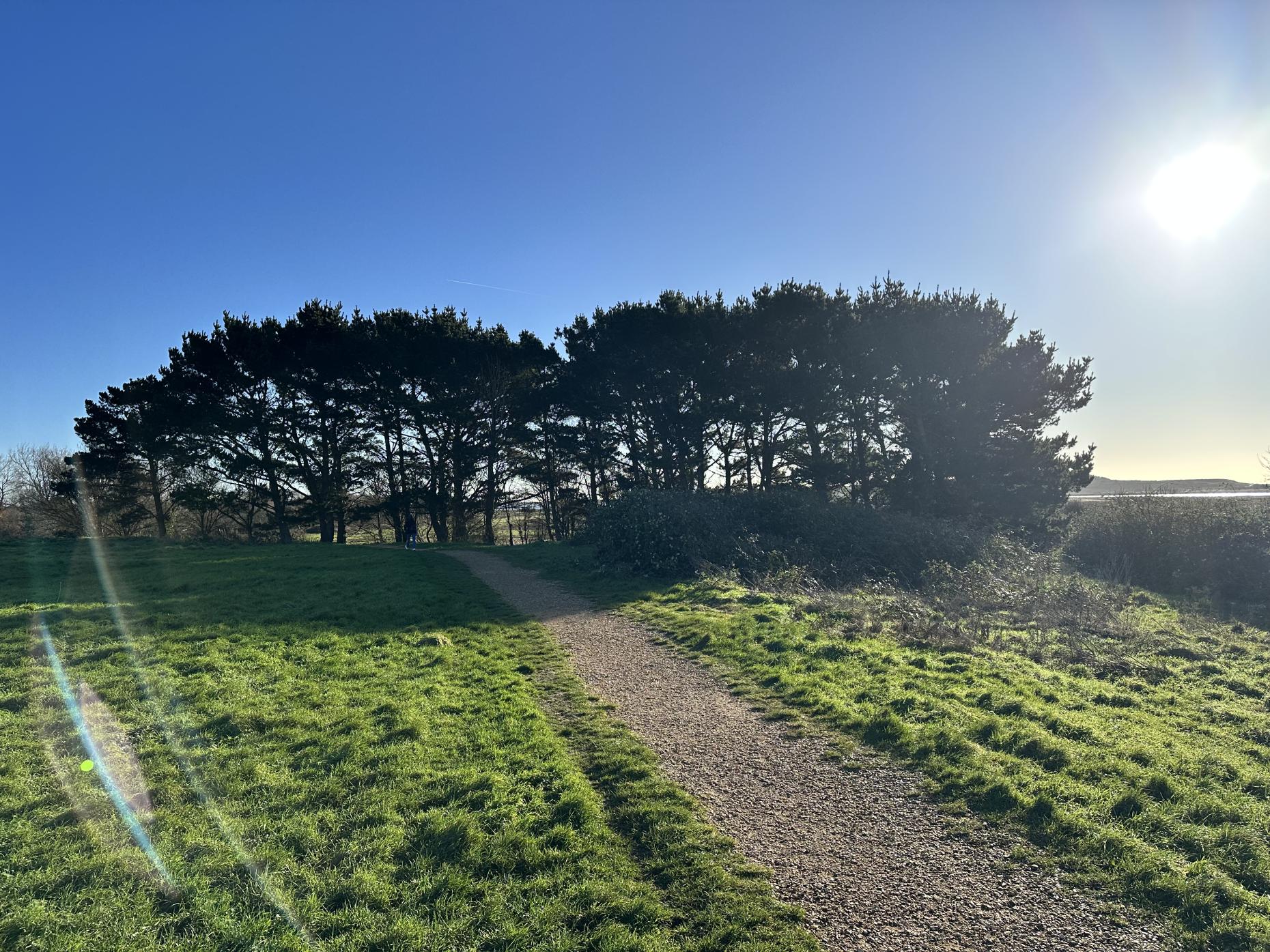 Stanpit Marsh Nature Reserve Walk