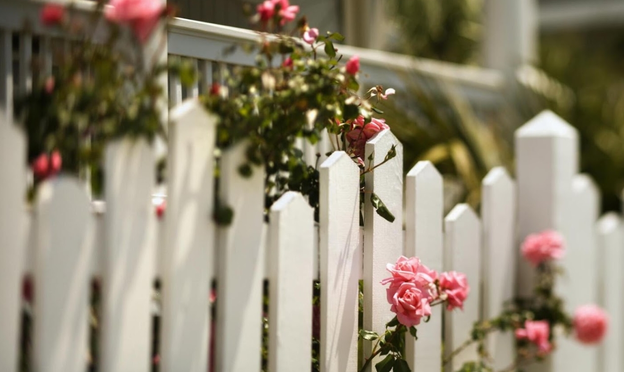 Compare Fencing and Gate Services in Dorset