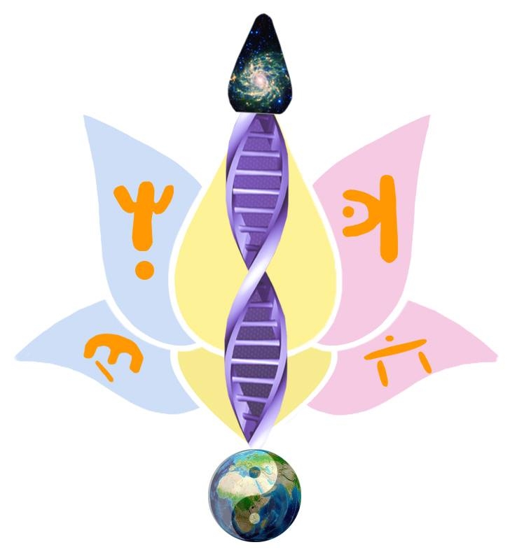 Compare Complimentary and Alternative Therapies in Dorset
